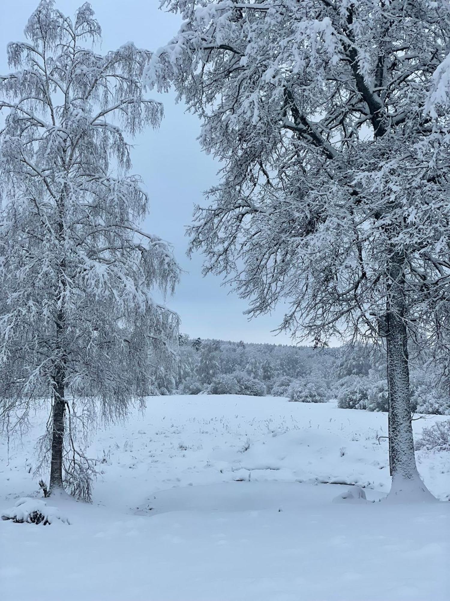 Ferienhaus Tondikaku Otepää